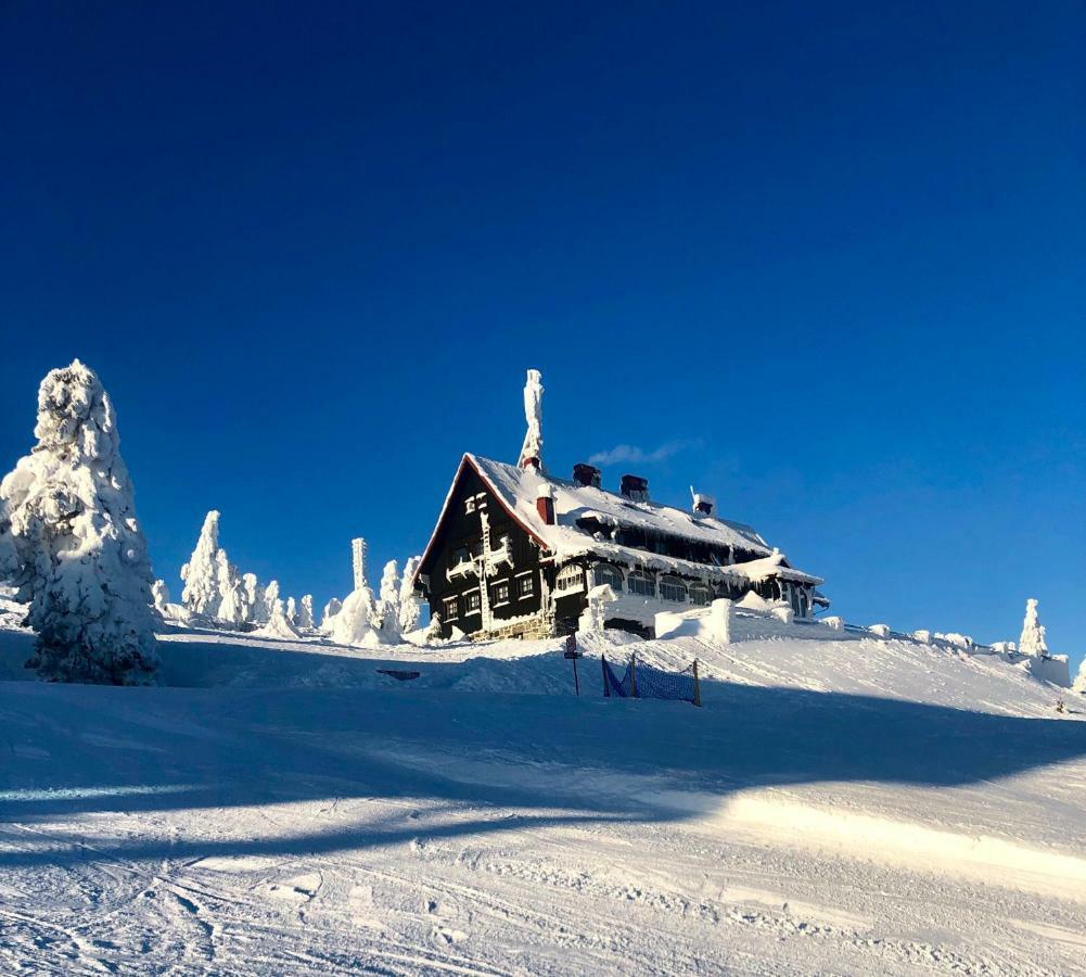 Ski Sun Sea - Rodzinny Apartament Pod Gondola Swieradow-Zdroj Exterior photo